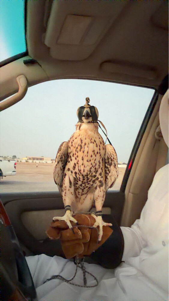 للبيع  - 1