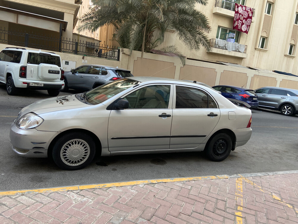 corella for urgent sale - 1