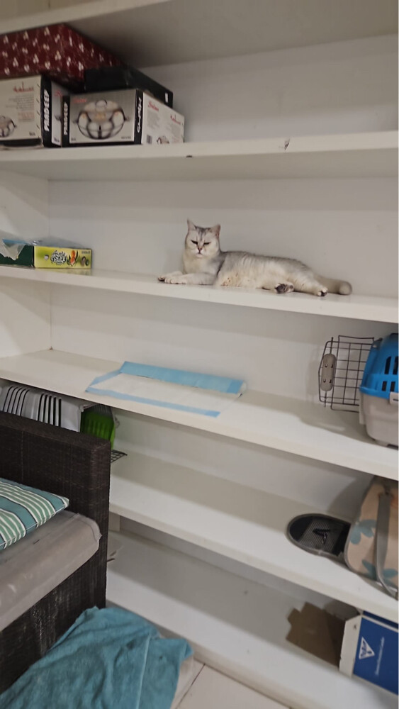 buboy and jelai - 3