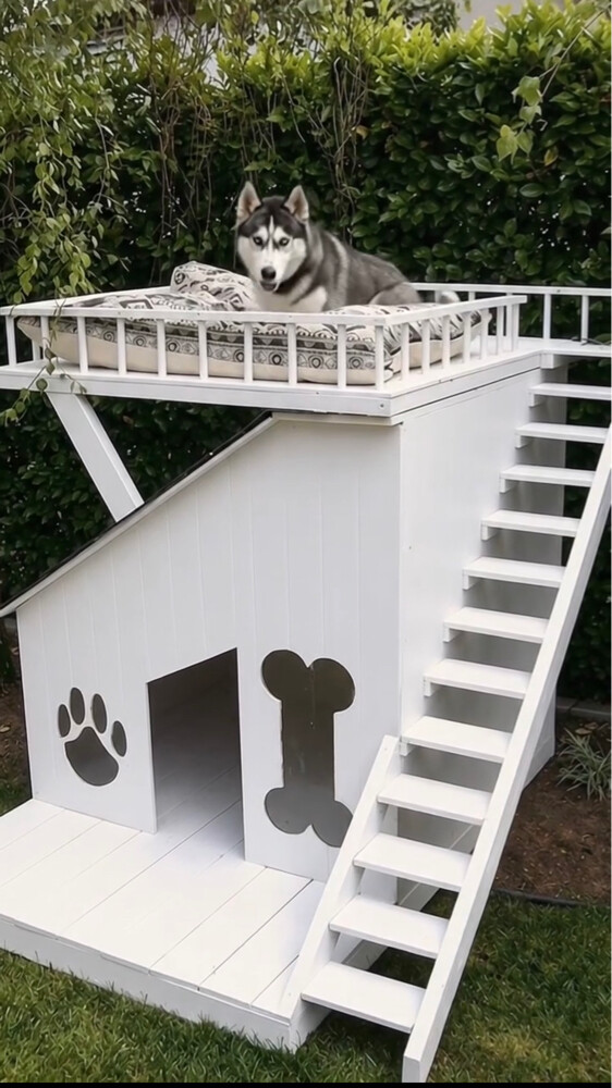 make for cat or dog house - 1