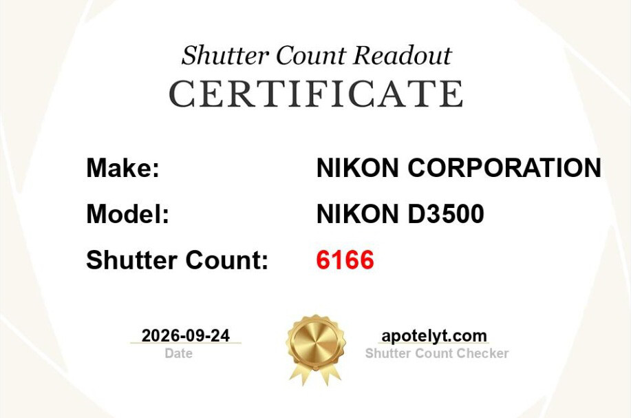 Nikon D3500 DSLR Kit — Only 6% used - 2