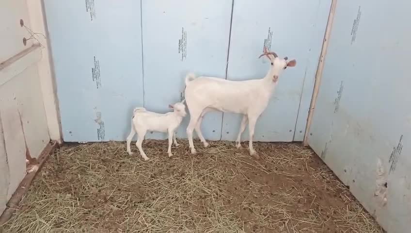 للبيع  - 3