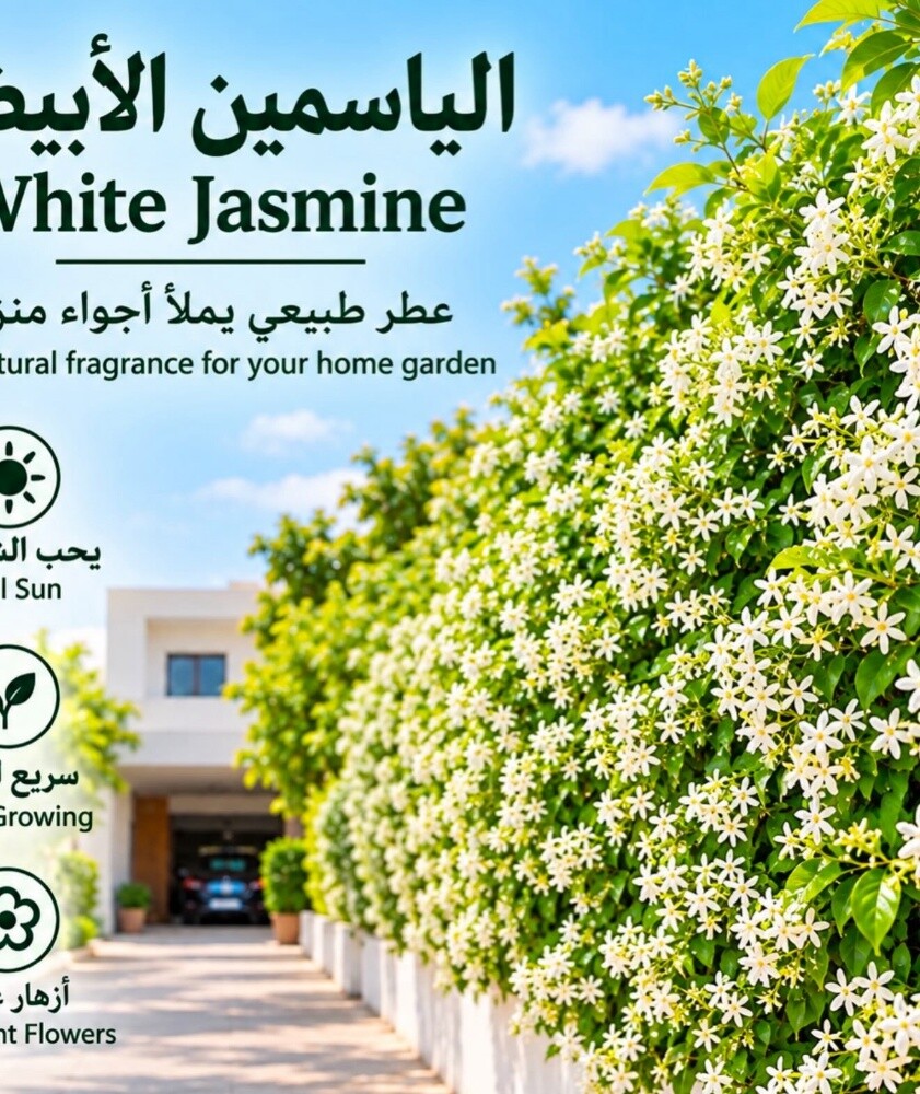ورود زراعه الورود - 6