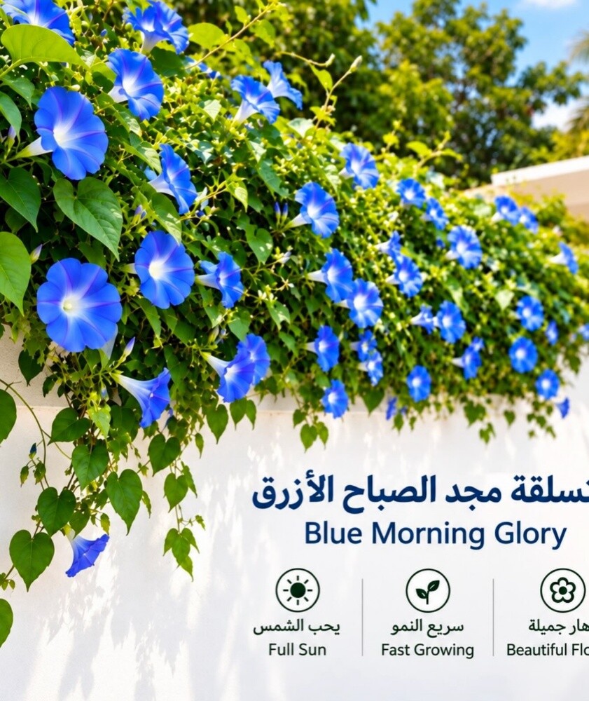 ورود زراعه الورود - 5