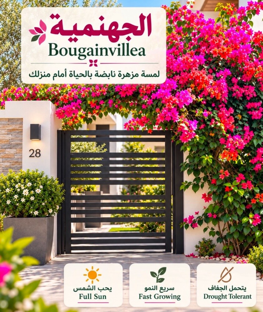 ورود زراعه الورود - 9