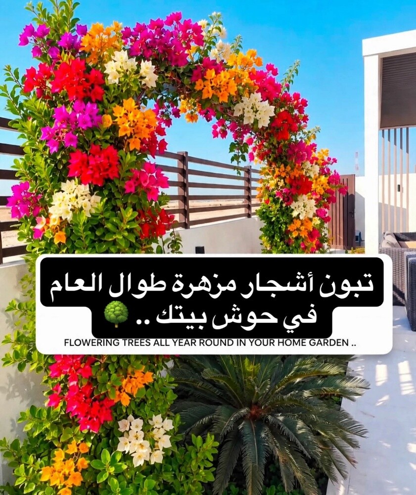 ورود زراعه الورود - 8
