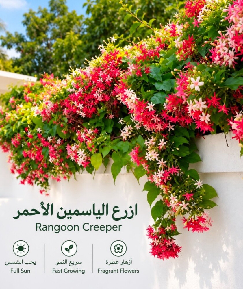ورود زراعه الورود - 4