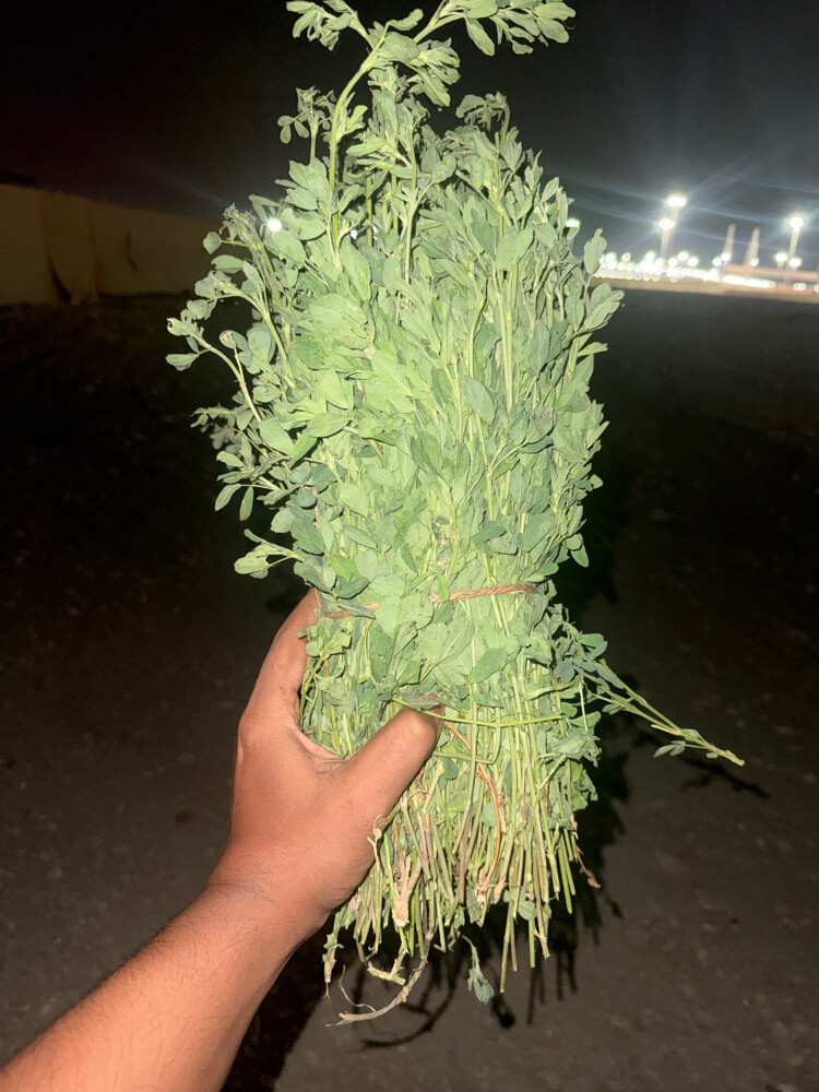 مشروع للبيع - 5