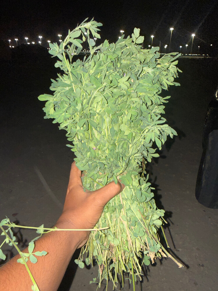 مشروع للبيع - 4