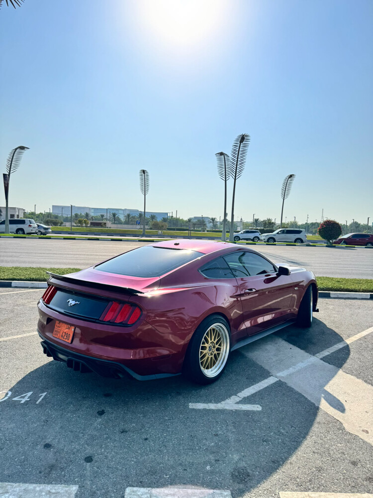 2015 Ford Mustang EcoBoost – For Sa - 3