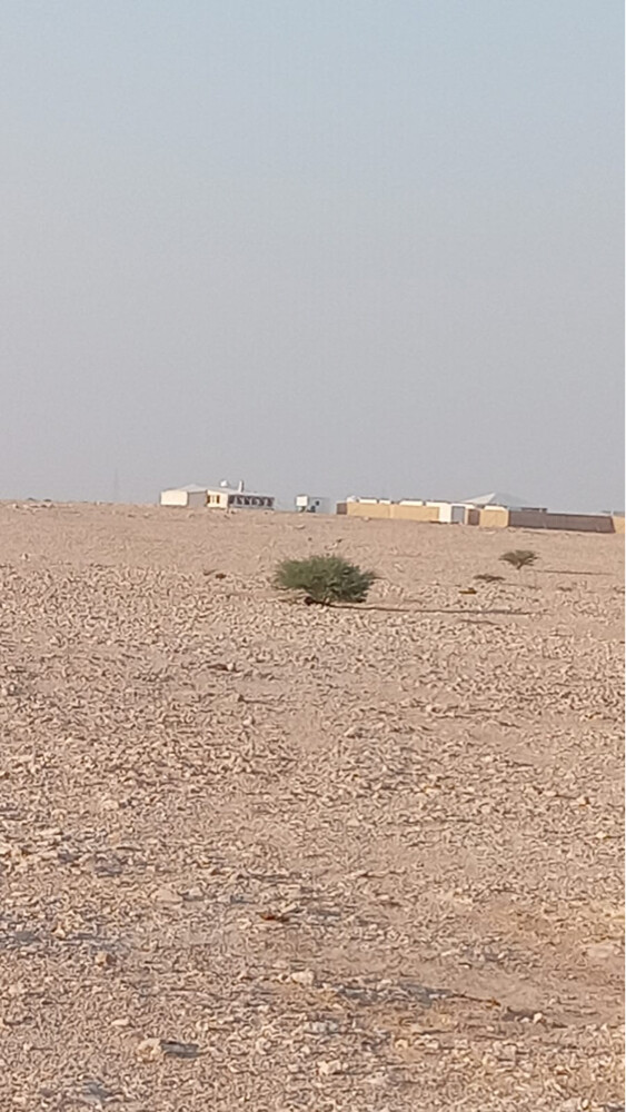 نبي جميع العزب والمخيمات وتفصيل - 2