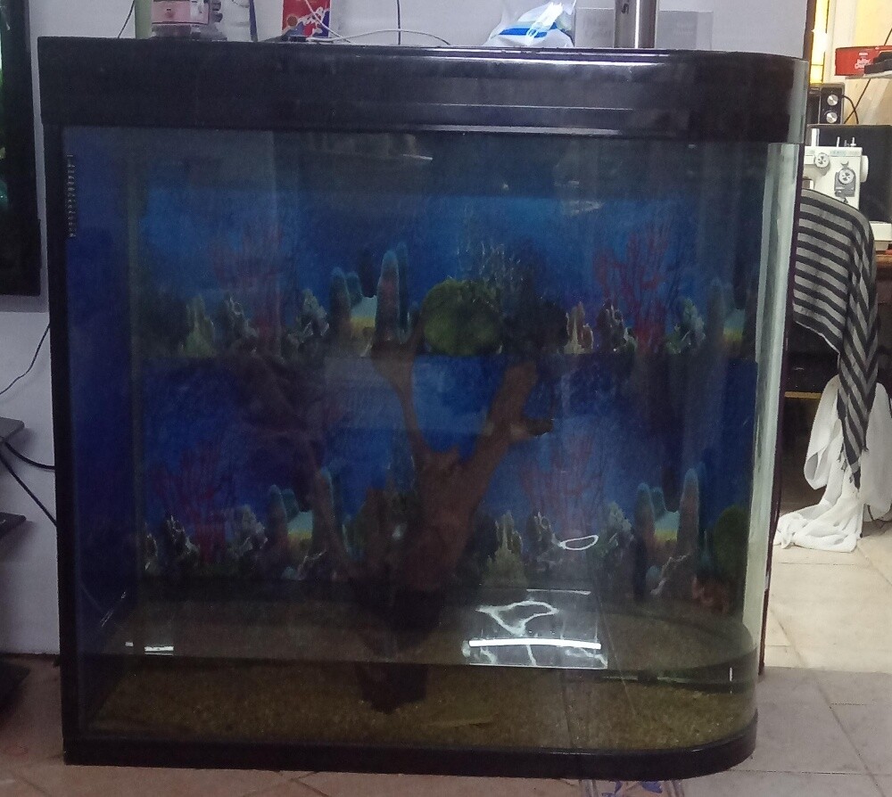 aquarium - 1