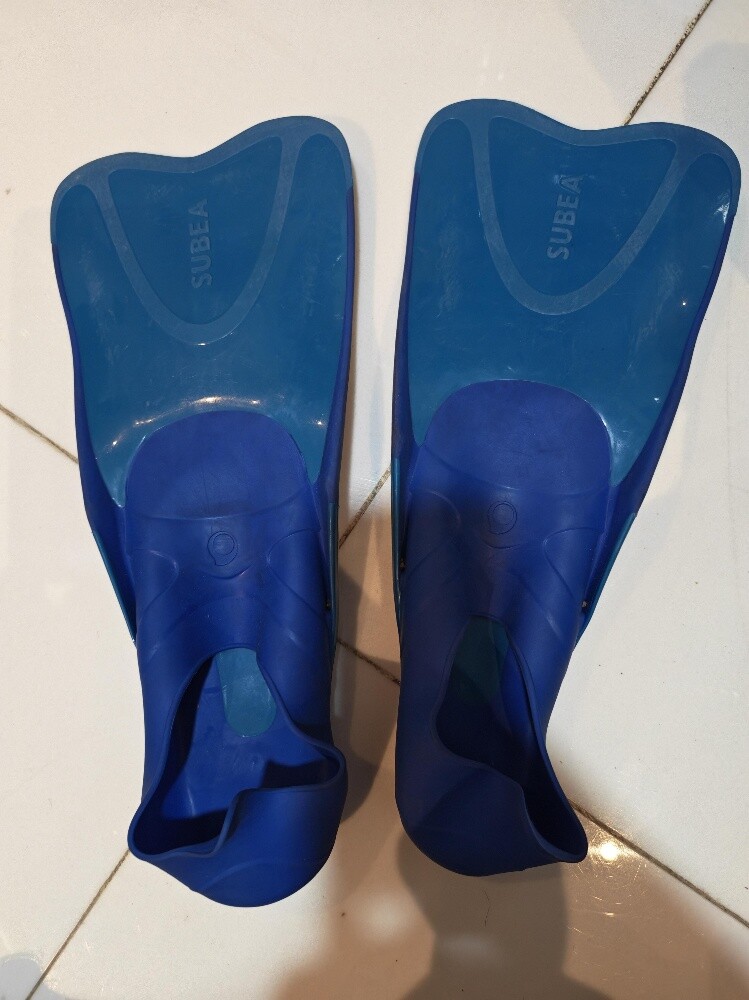 fins - 4