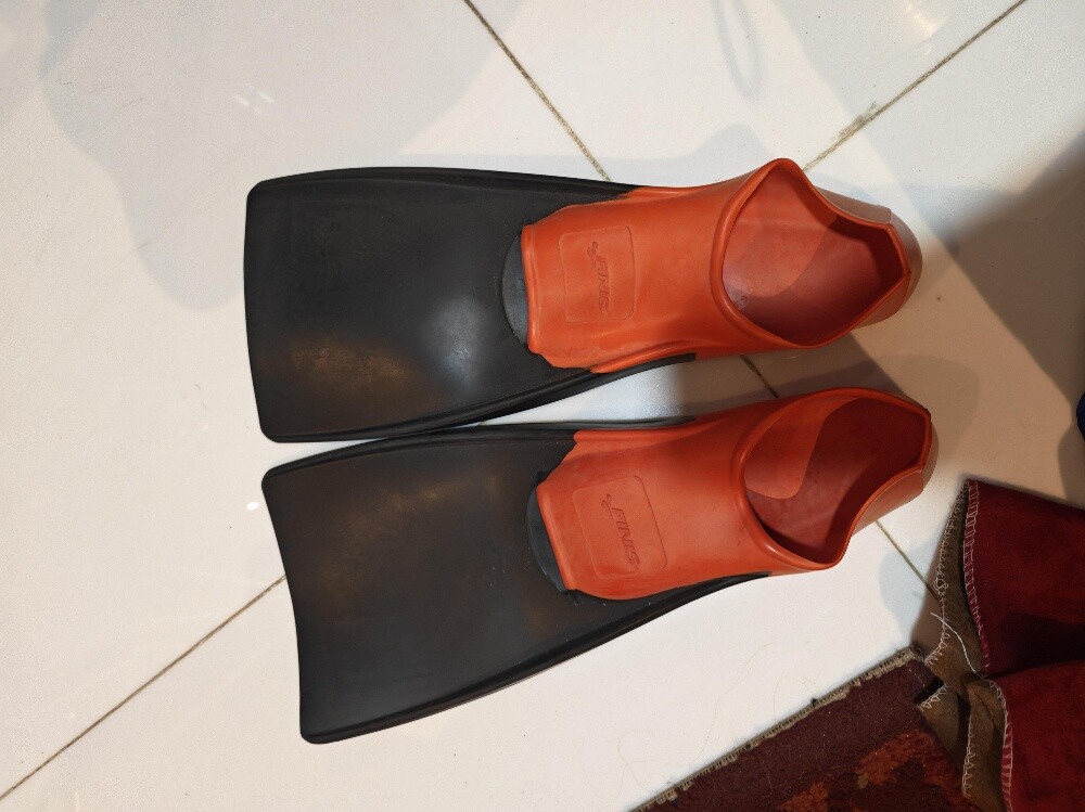 fins - 6
