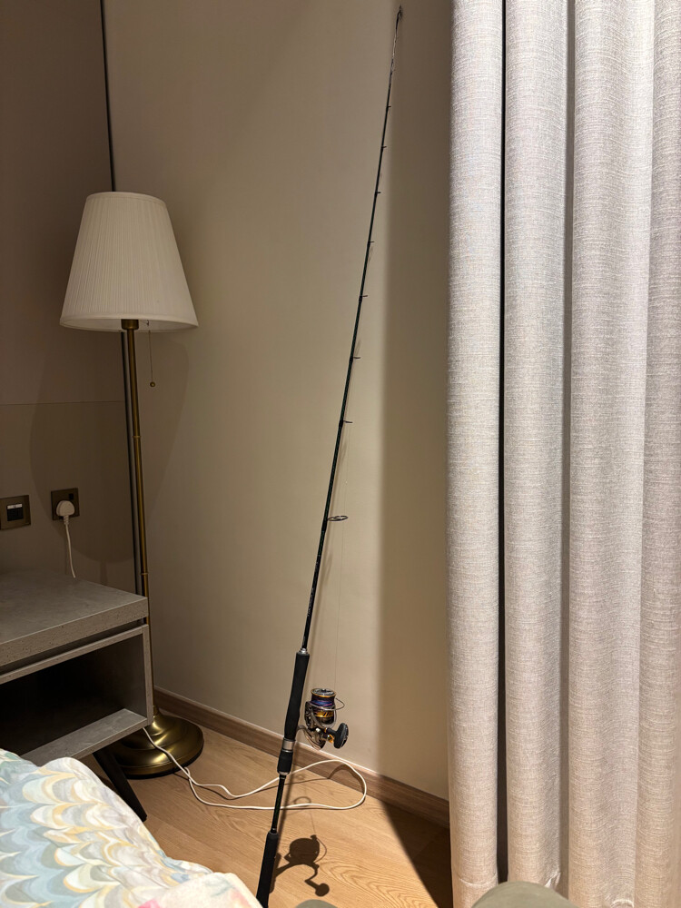 Carbon fiber fishing rod - 2