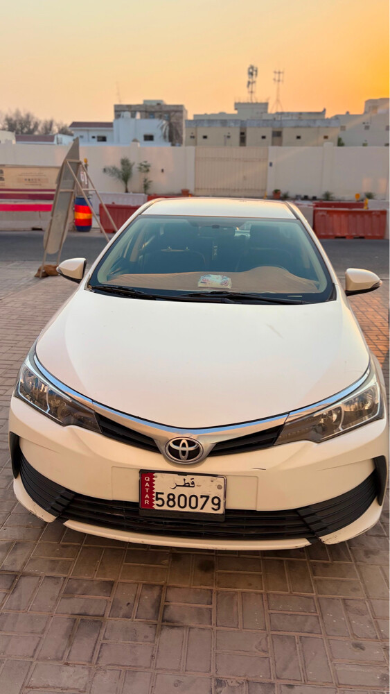 كولار 2019  - 4