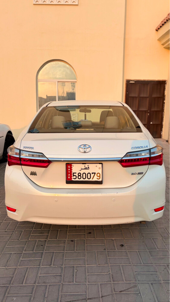 كولار 2019  - 2