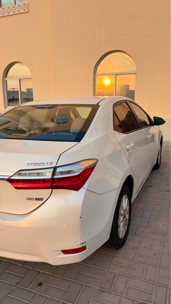 كولار 2019  - 6