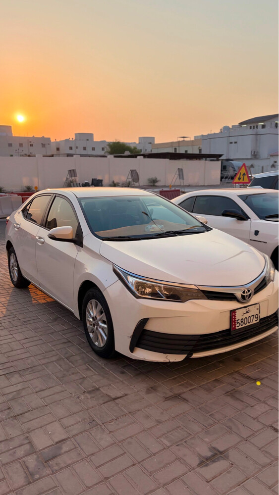 كولار 2019  - 7