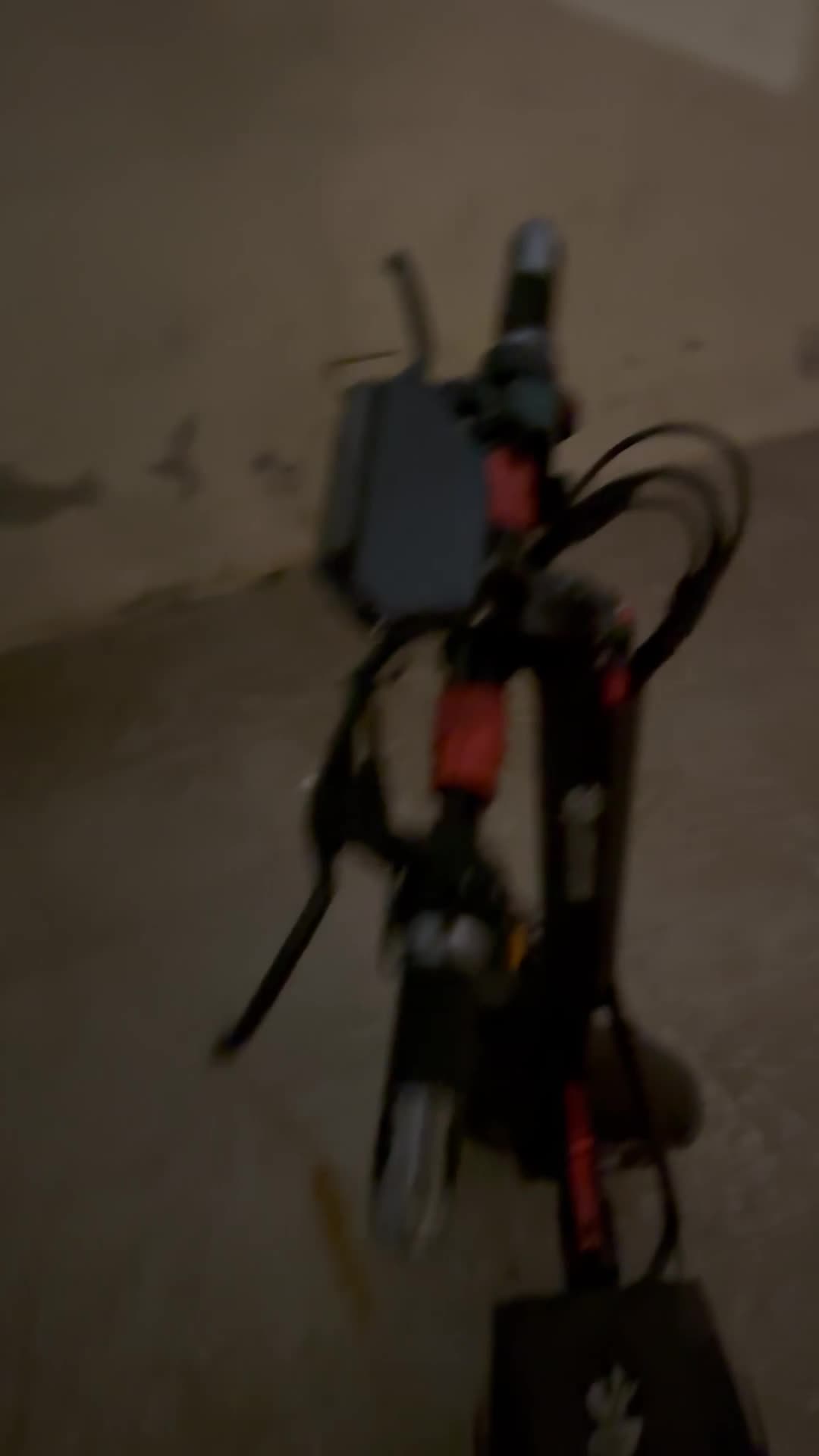 scooter lucky star - 1