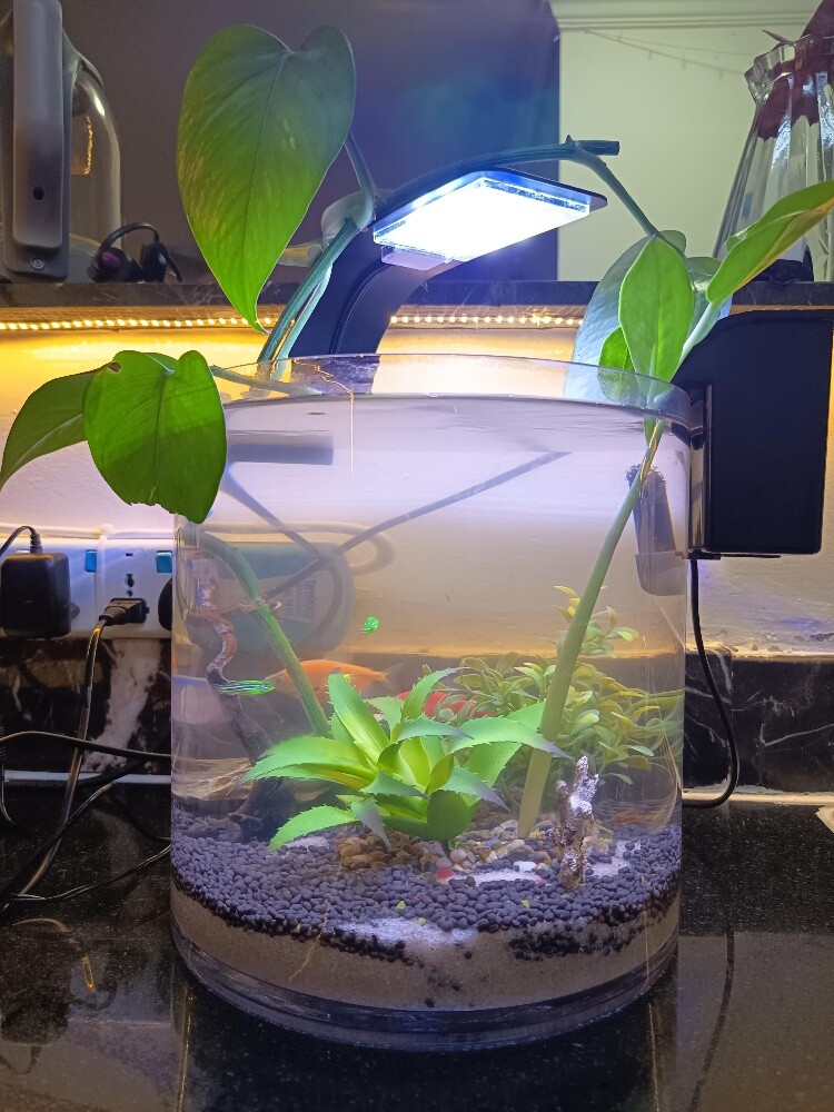 aquarium - 3