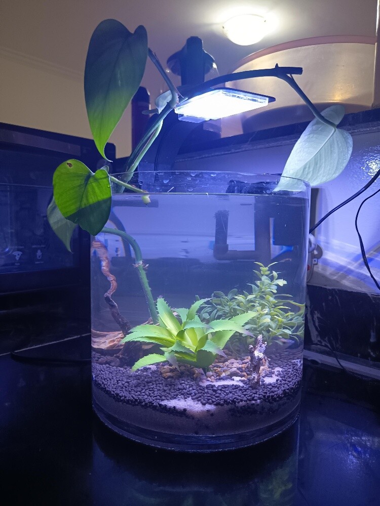 aquarium - 4