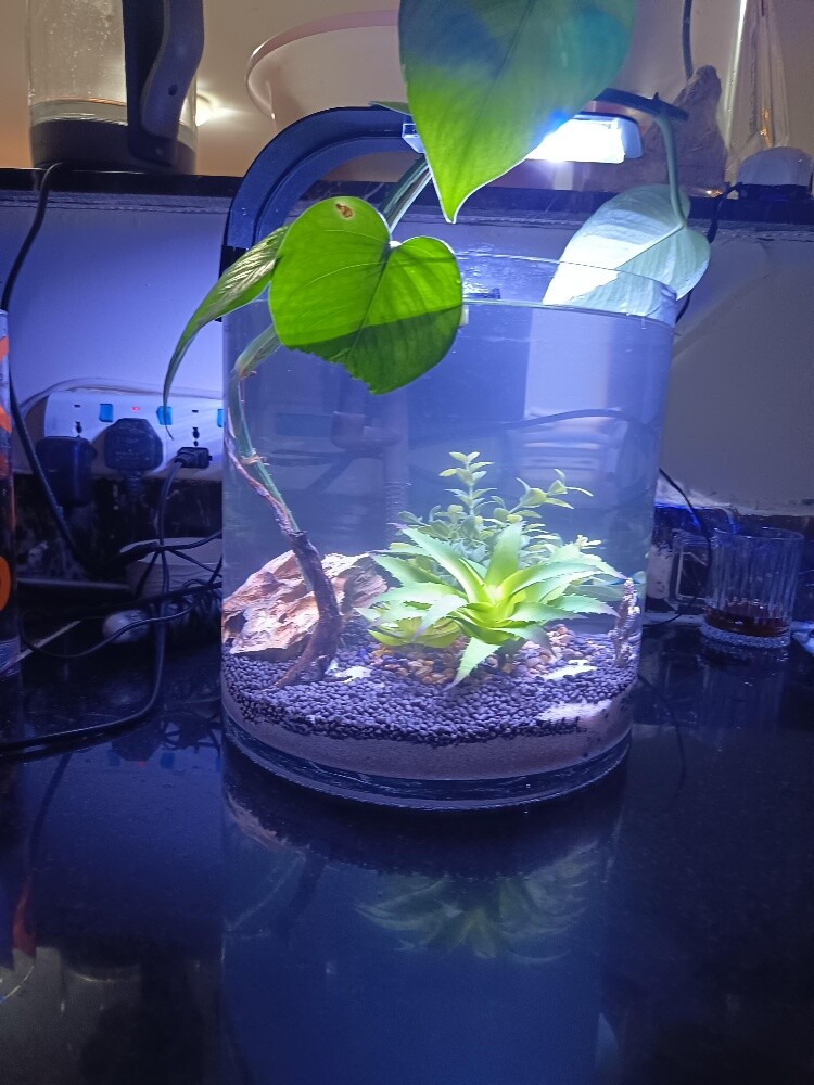 aquarium - 5
