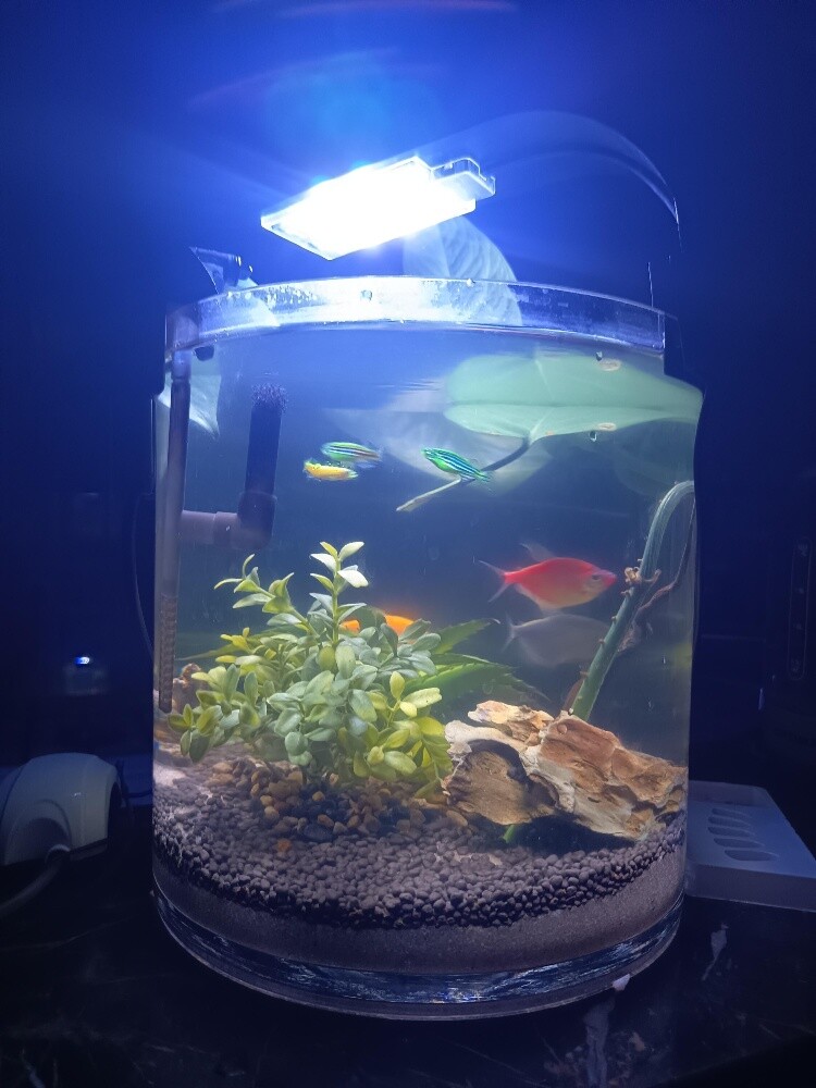 aquarium - 2
