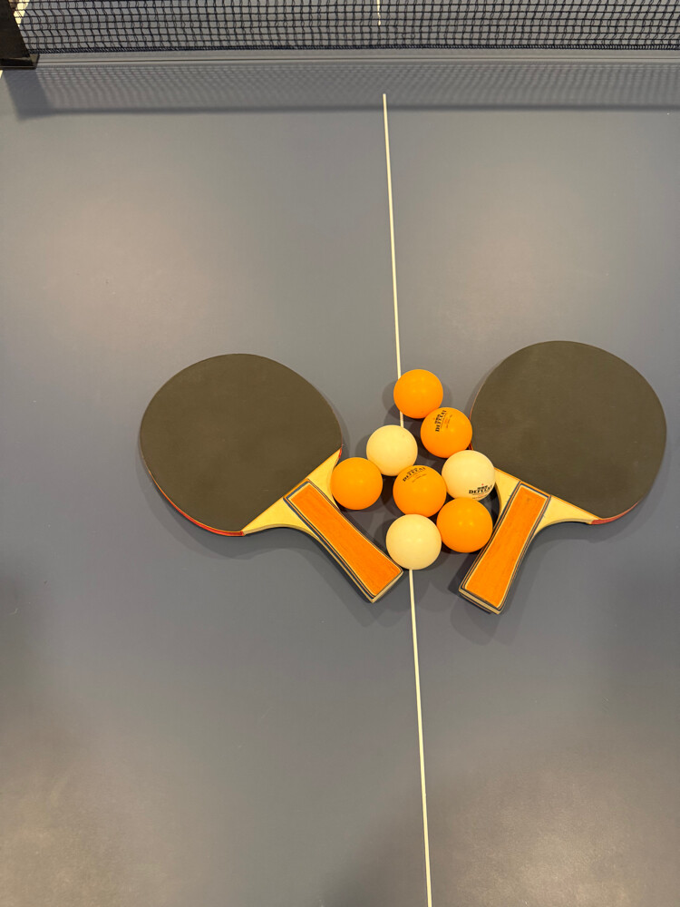 ping pong table foldable - 10