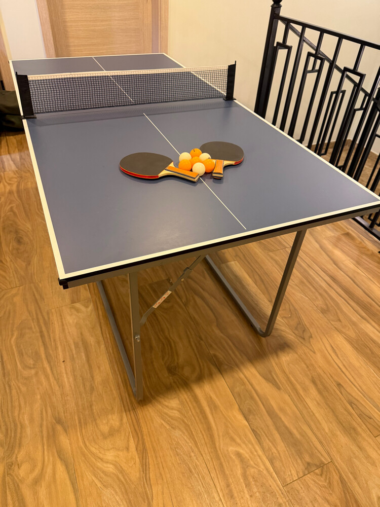 ping pong table foldable - 1