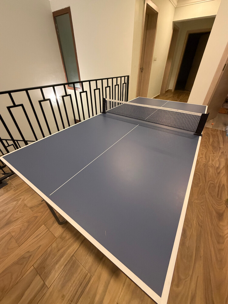 ping pong table foldable - 4