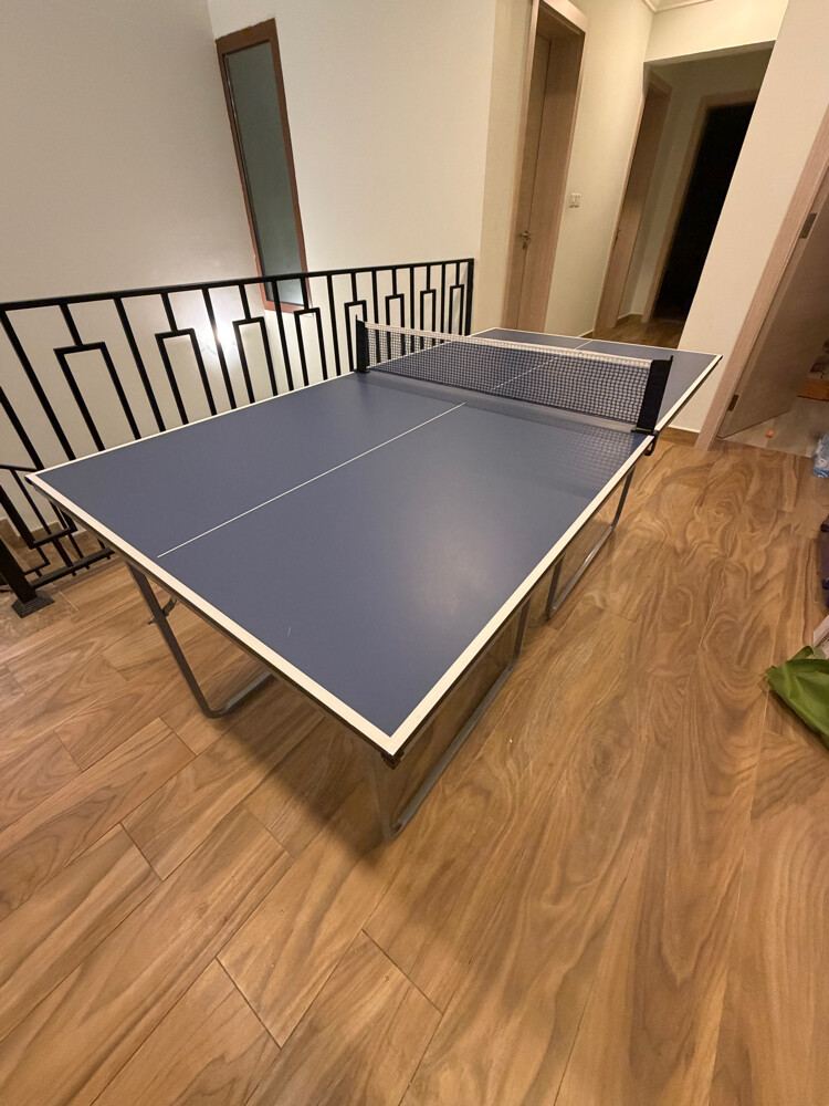 ping pong table foldable - 2