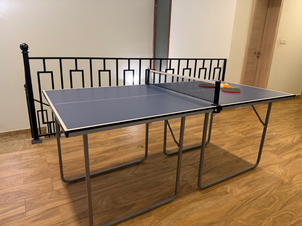 ping pong table foldable - 8
