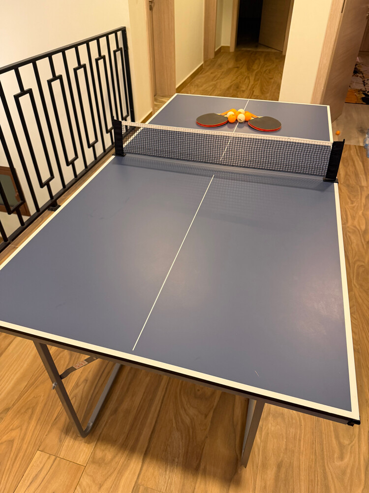 ping pong table foldable - 7