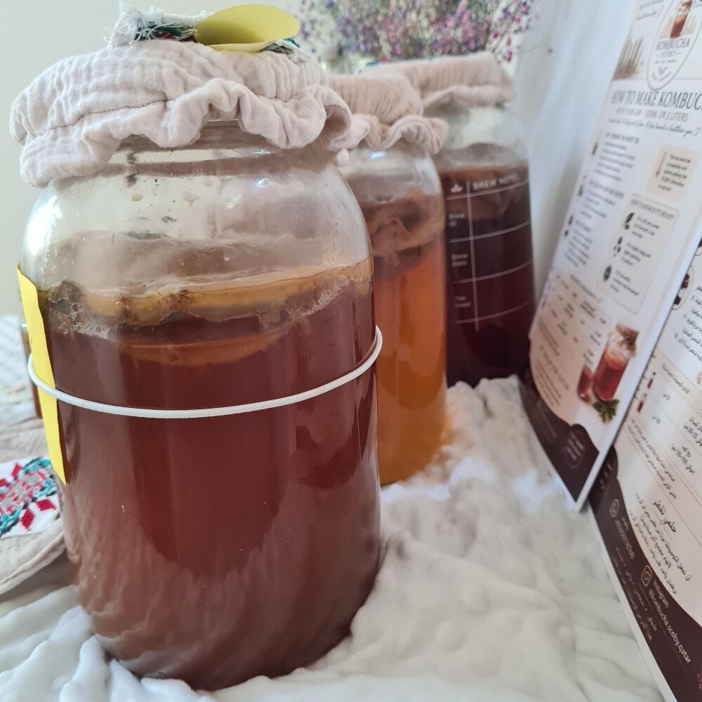 Kombucha activ live SCOBY - 4
