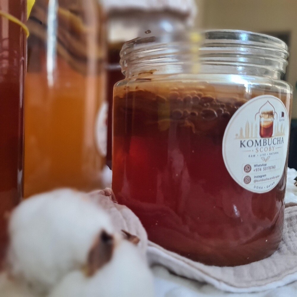 Kombucha activ live SCOBY - 6