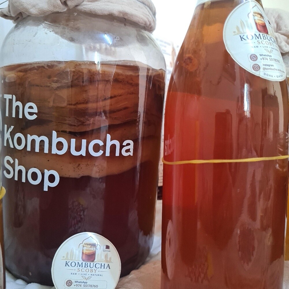 Kombucha activ live SCOBY - 5