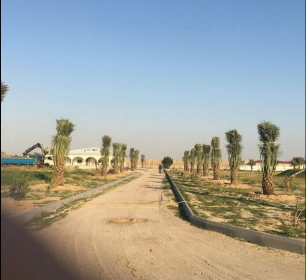 تنظيف وترتيب وتنسيق الحدائق - 22