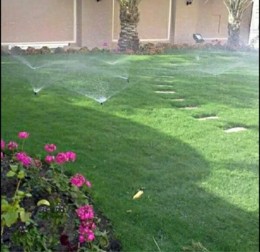 تنظيف وترتيب وتنسيق الحدائق - 25