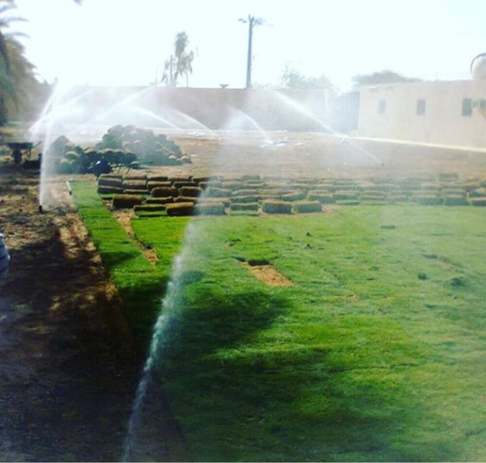 تنظيف وترتيب وتنسيق الحدائق - 6