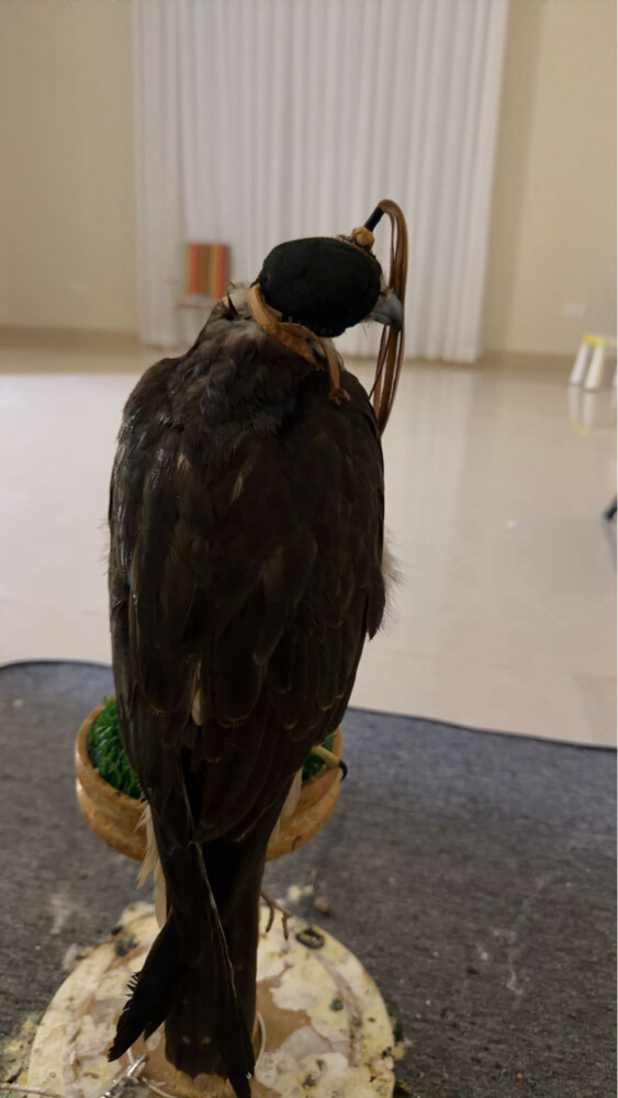 فكري - 3