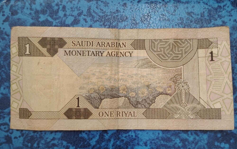ريال سعودي - 2
