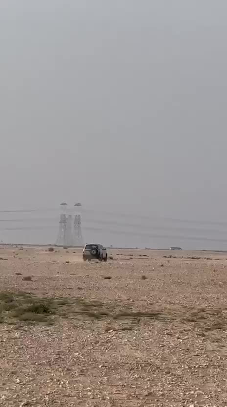 جير شاهين  - 2
