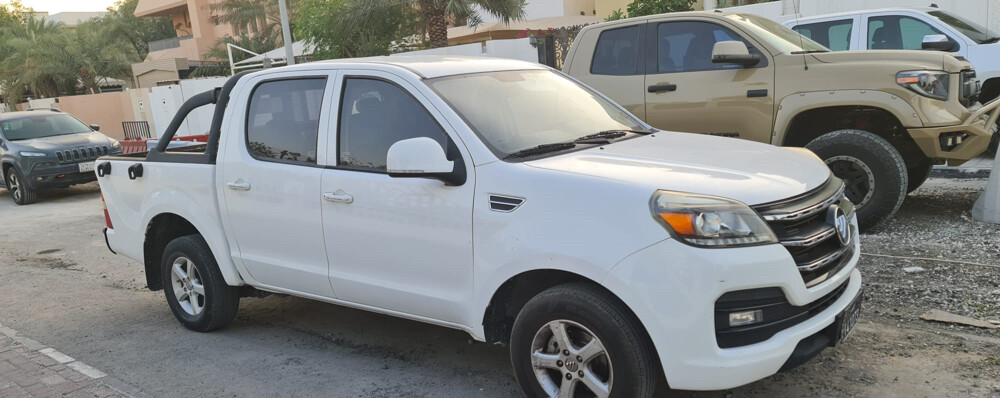 Foton pick up - 3
