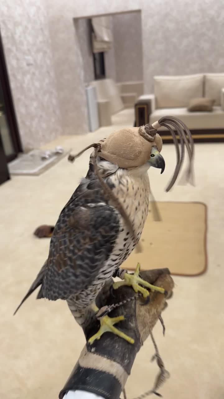 مبارك - 1