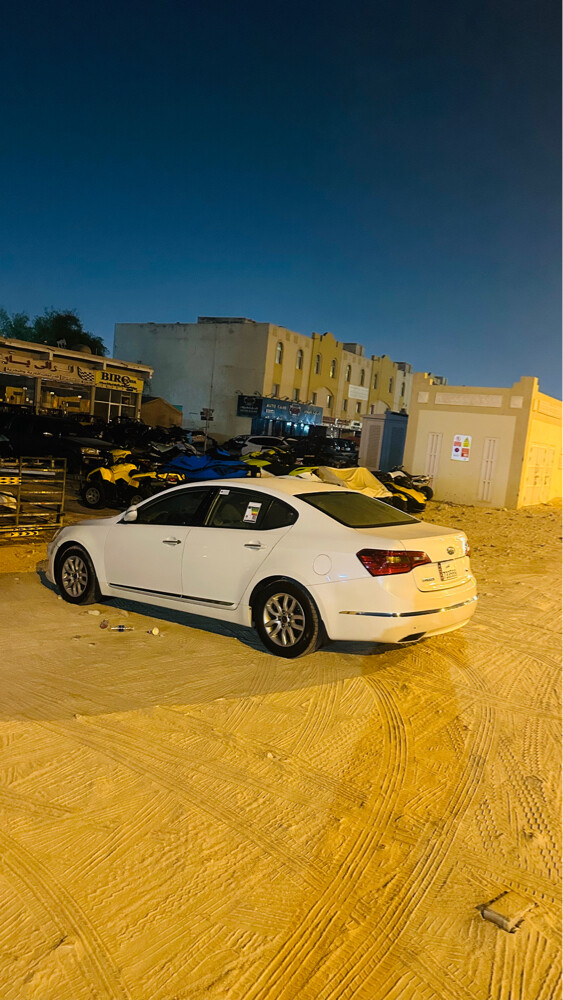 كادينزا - 12