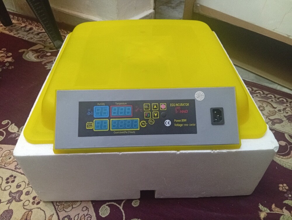 chicken incubator 46 EGGS - 1
