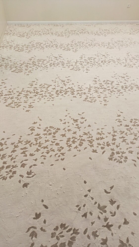 modern carpet - 13