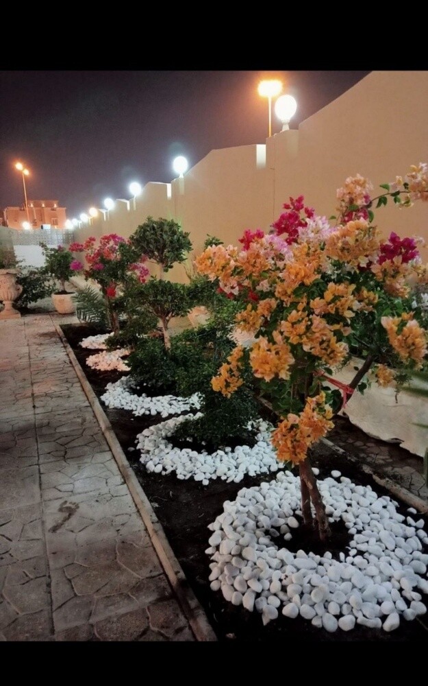 منسق حدائق 55079950 - 2