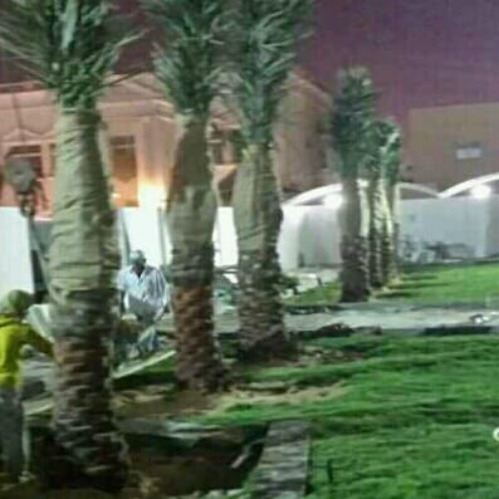 منسق حدائق 55079950 - 15